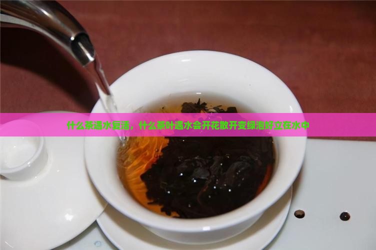 什么茶遇水复活 什么茶遇水复活