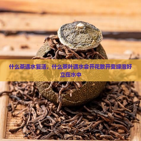 什么茶遇水复活 什么茶遇水复活