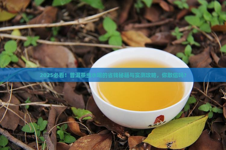 能不能把普洱茶当水喝