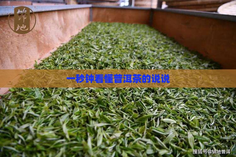 一秒钟看懂普洱茶