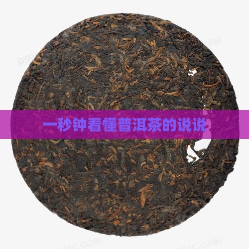 一秒钟看懂普洱茶