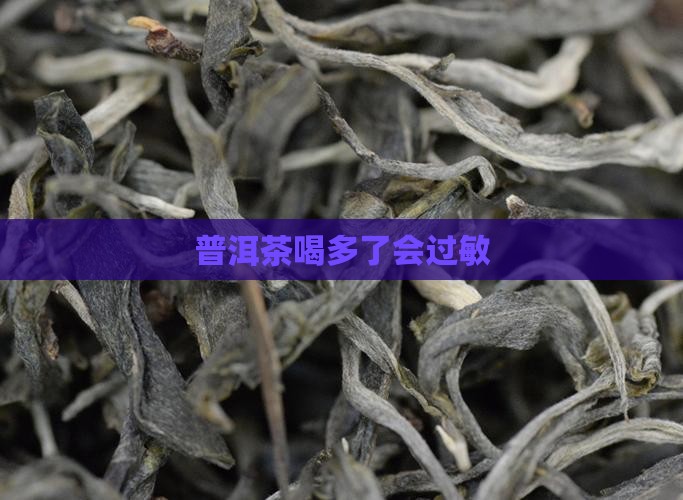 普洱茶喝多了会过敏