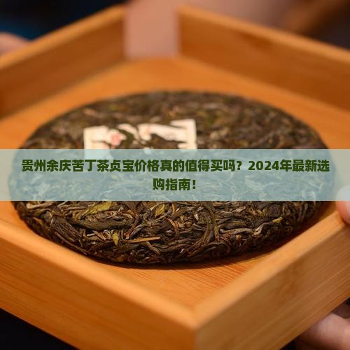 贵州余庆苦丁茶银河贞宝价格