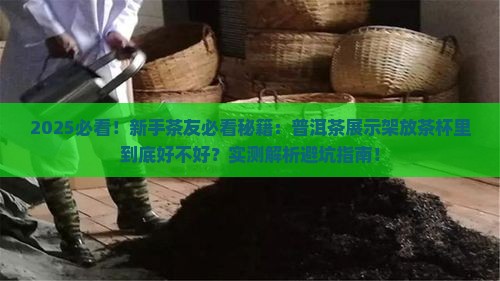 普洱茶展示架放茶杯里好不好