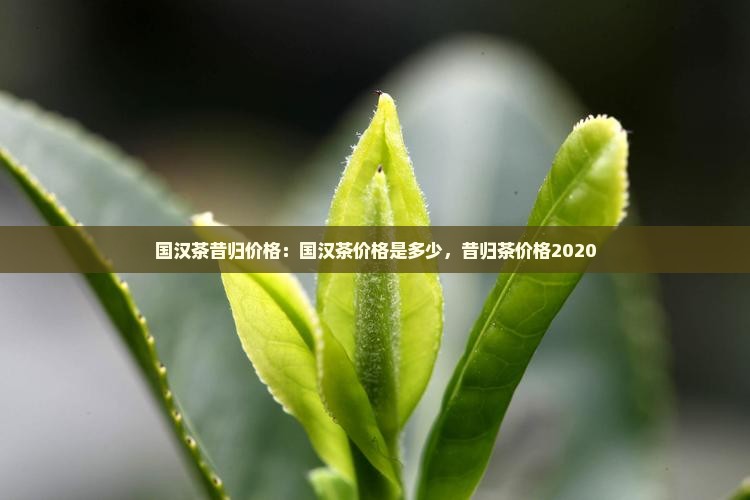 国汉茶昔归价格