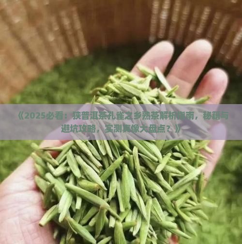 狭普洱茶孔雀之乡熟茶