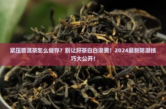紧压普洱茶怎么储存