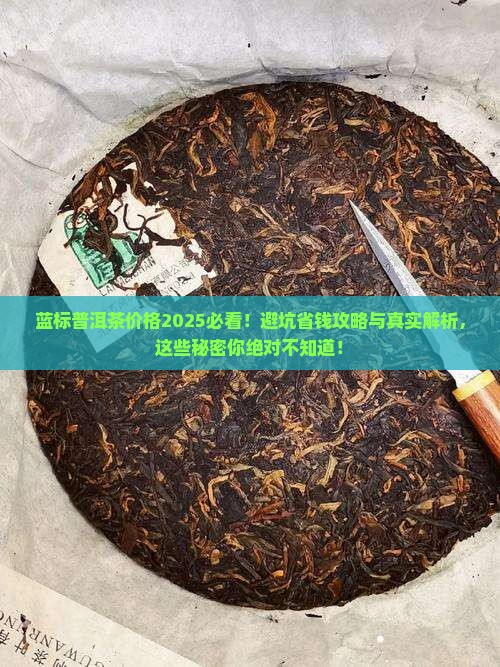 蓝标普洱茶价格