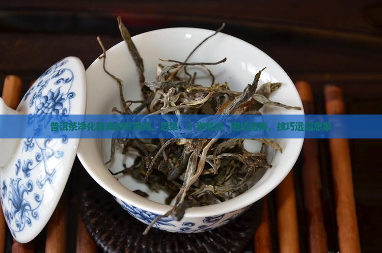 普洱茶净化器真的有用吗