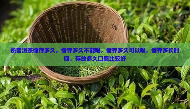 熟普洱茶储存多久