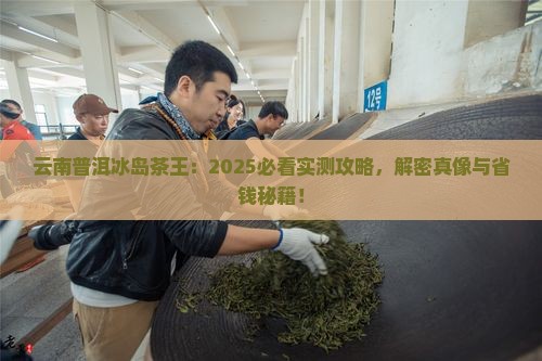 云南普洱冰岛茶王