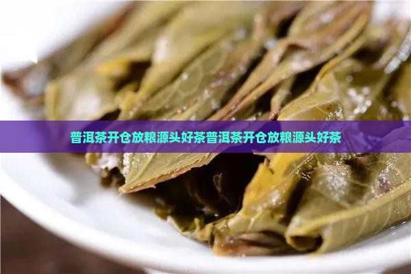 普洱茶开仓放粮源头好茶