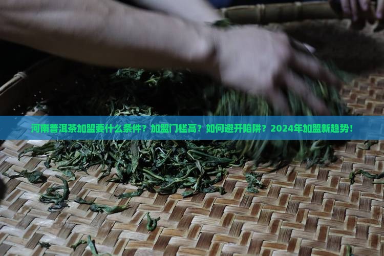 河南普洱茶加盟要什么条件