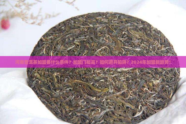 河南普洱茶加盟要什么条件