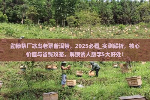 勐傣茶厂冰岛老寨普洱茶