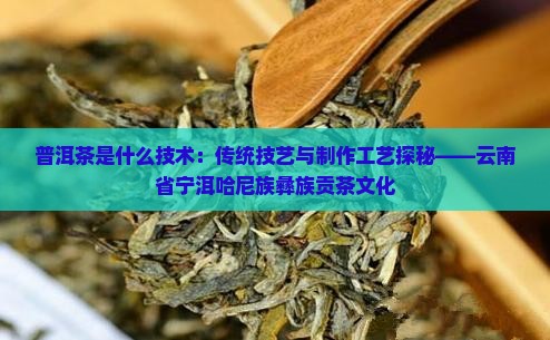 普洱茶是什么技术