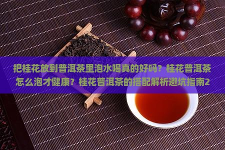 把桂花放到普洱茶里泡水喝