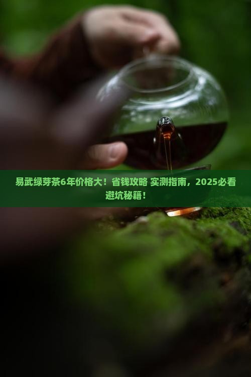易武绿芽茶6年什么价格