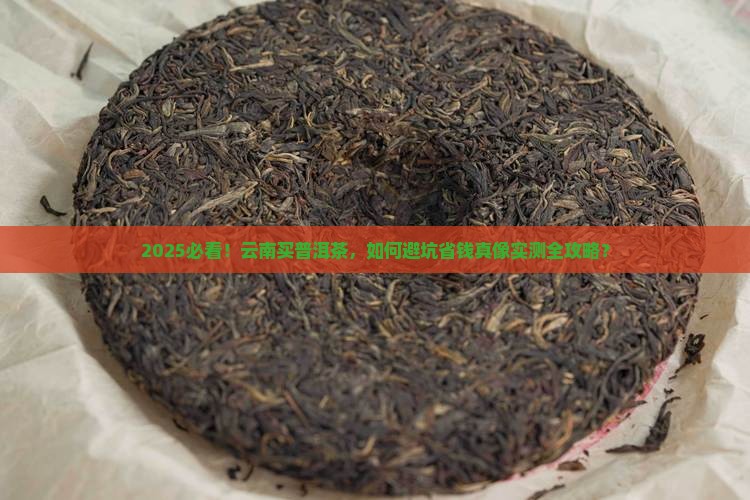 在云南买普洱茶怎么辩真假