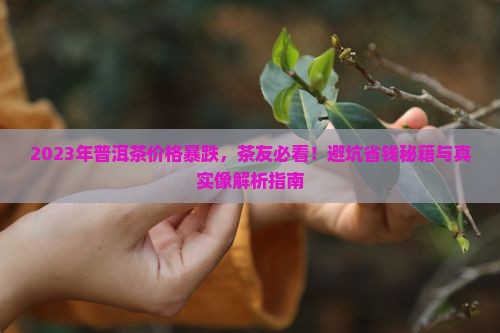 普洱茶价格暴跌是那年