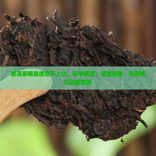 普洱茶喝着感觉不上火