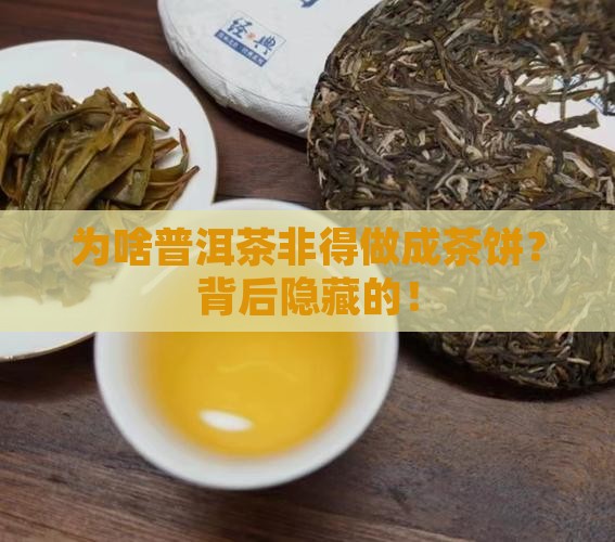 为啥普洱茶是茶饼做的呢