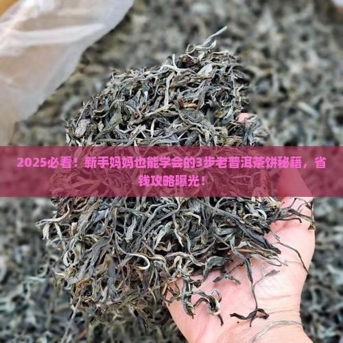 老普洱茶饼的做法步骤窍门