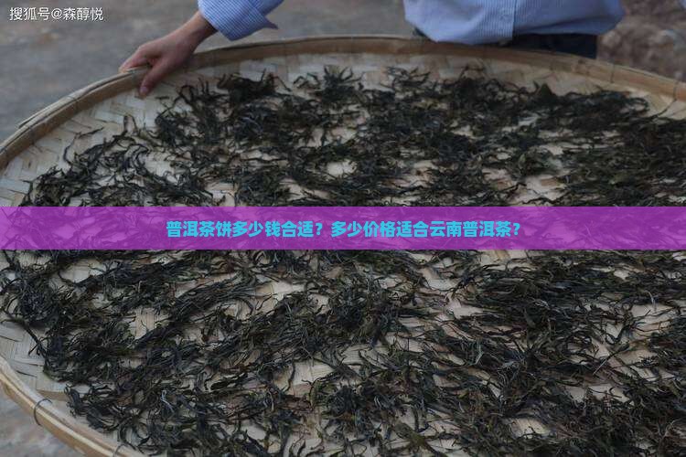 普洱茶饼值多少钱合适