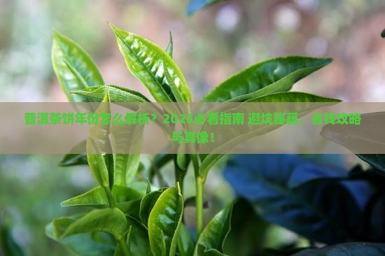 普洱茶饼年份怎么看
