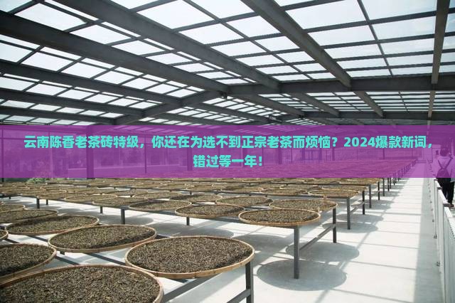云南陈香老茶砖特级