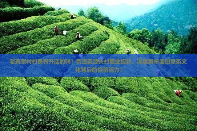 老班章村村民有开店的吗