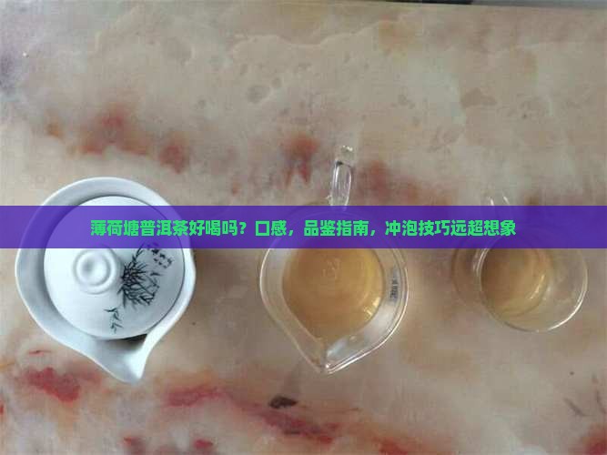 薄荷塘普洱茶好喝吗