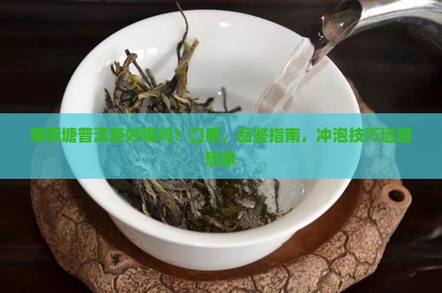 薄荷塘普洱茶好喝吗
