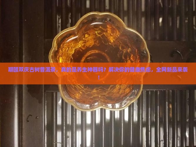 期颐双庆古树普洱茶