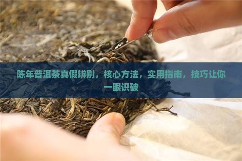 陈年普洱茶真假辨别
