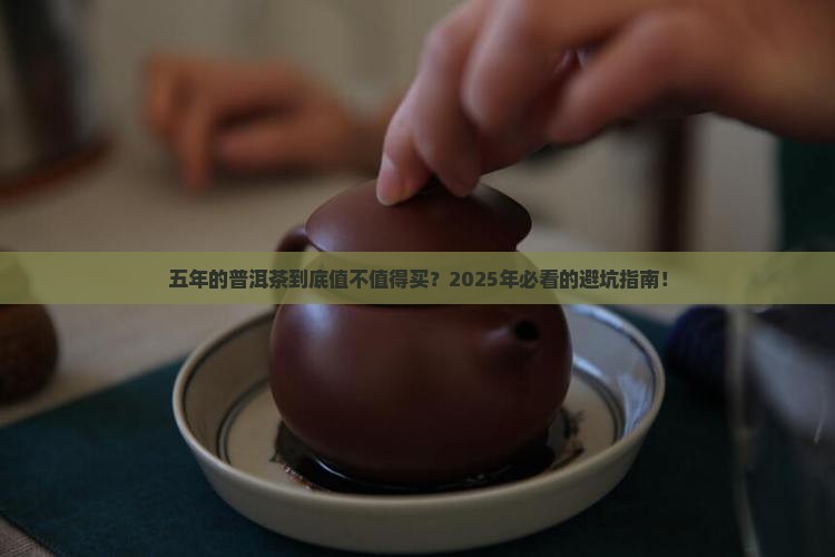 五年的普洱茶多少年