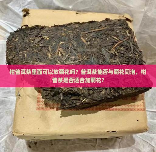 柑普洱茶里面可以放菊花吗