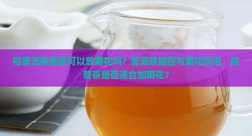 柑普洱茶里面可以放菊花吗