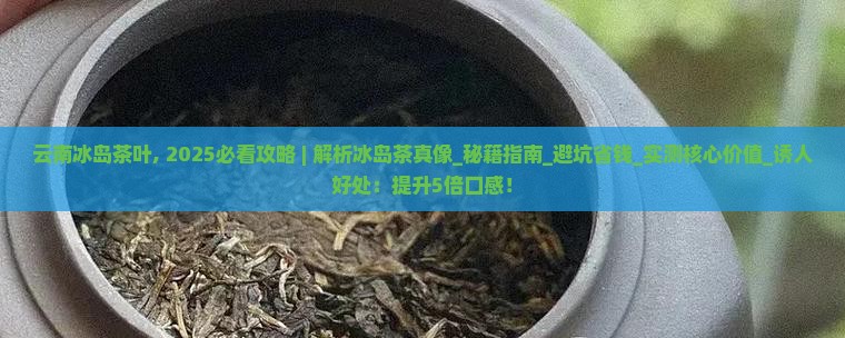 云南冰岛茶叶官网