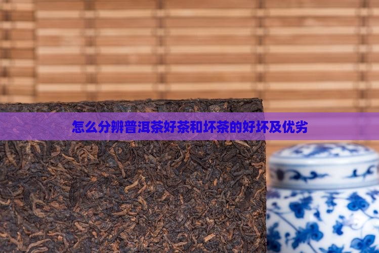 怎么分辨普洱茶好茶