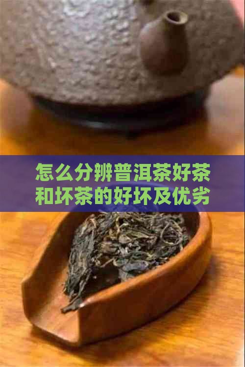 怎么分辨普洱茶好茶