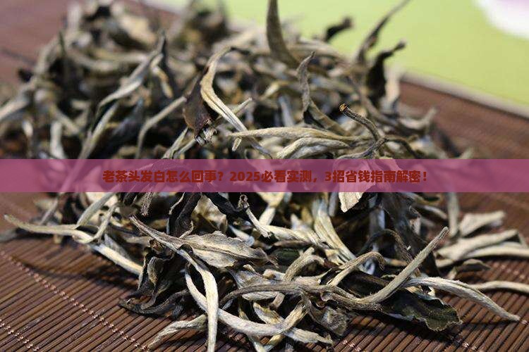 普洱茶老茶头有点白