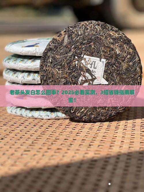 普洱茶老茶头有点白