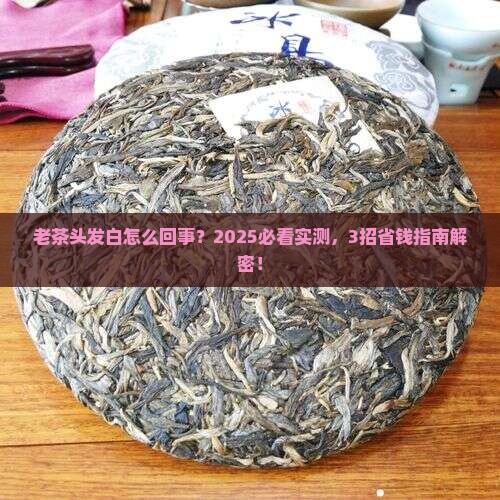普洱茶老茶头有点白