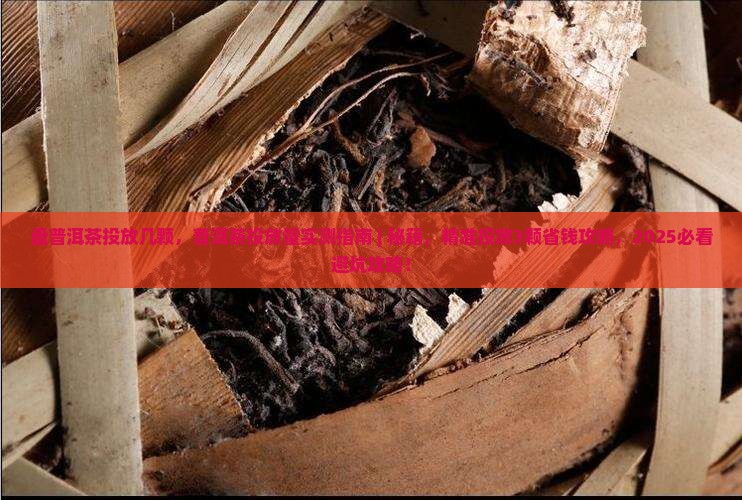 盘普洱茶投放几颗