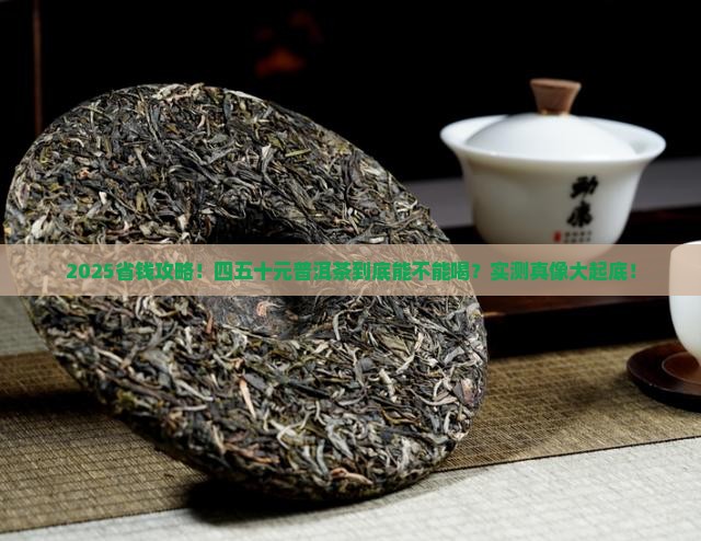 四五十元的普洱茶能喝