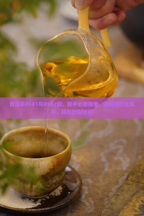 普洱茶8581与8582的