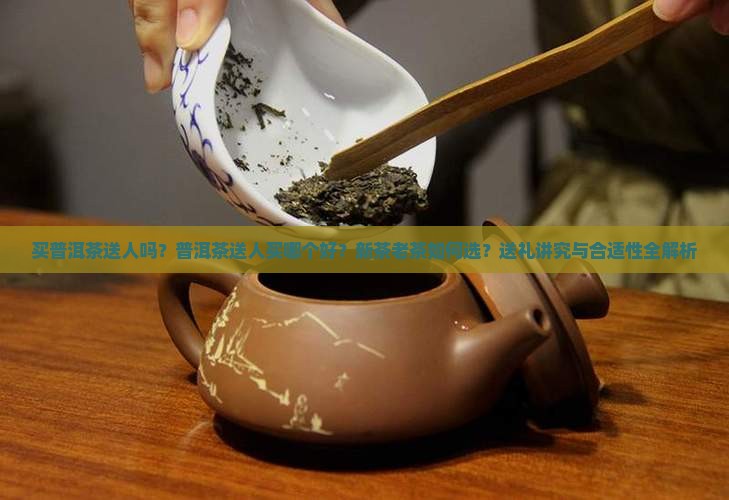 买普洱茶送人吗