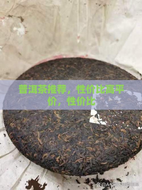 中茶普洱茶推荐品牌平价