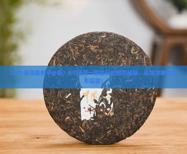 一意孤行普洱茶